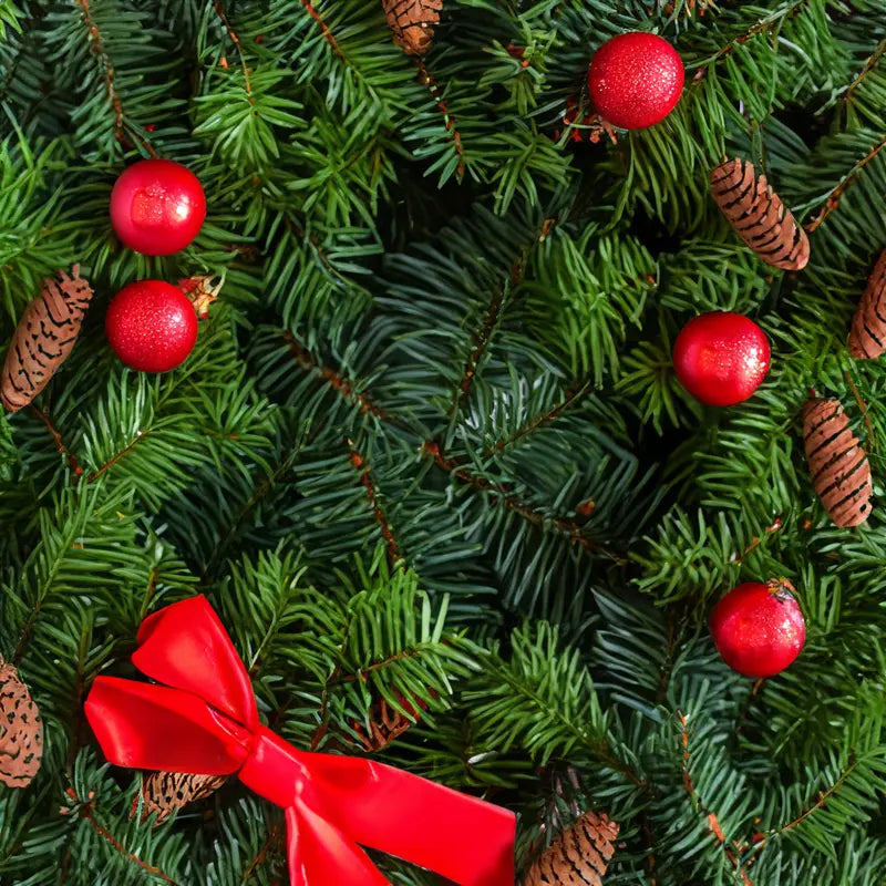 Balsam Fir Fragrance Oil Fizzle Me That