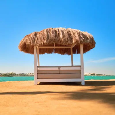 Coco Cabana (W) Fragrance Oil Fizzle Me That