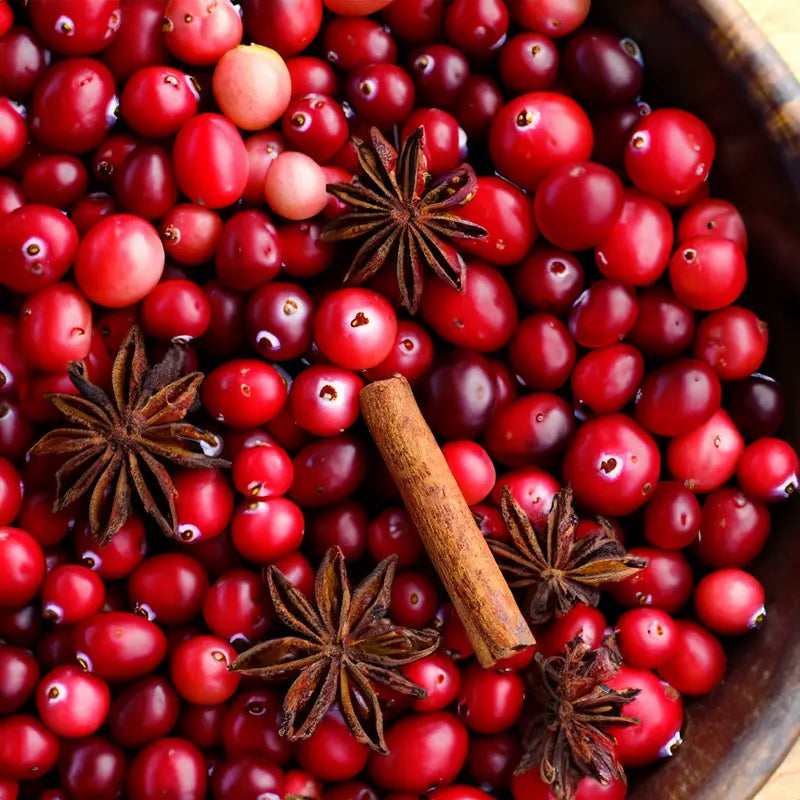 Cranberry Spice Fragrance Oil Fizzle Me That