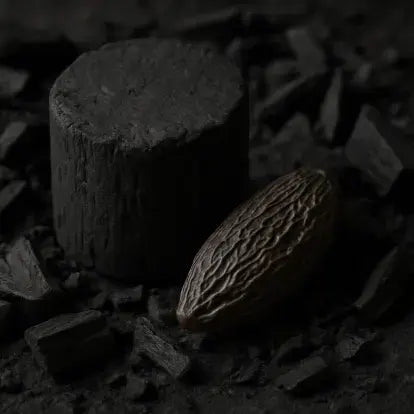 Charcoal Tonka Fragrance Oil Fizzle Me That