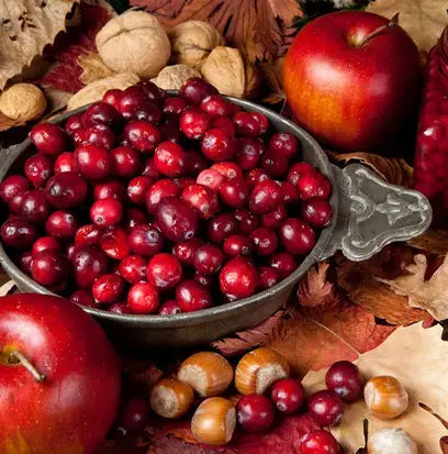Spiced Cranberry Apples Fragrance Oil Fizzle Me That