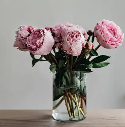 Pleasures (W) Type Fragrance Oil Fizzle Me That