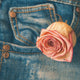 Denim Fragrance Oil Fizzle Me That