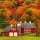 Fall Farmhouse by BBW® Type Fragrance Oil Fizzle Me That