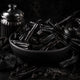 Black Licorice Fragrance Oil Fizzle Me That