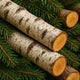 Birchwood Pine Fragrance Oil Fizzle Me That