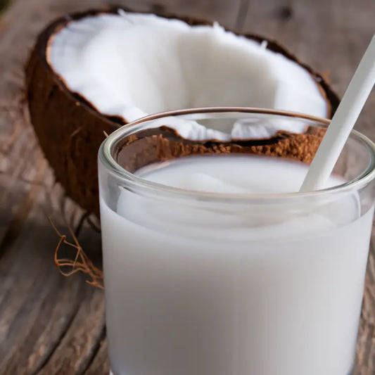 Creamy Coconut by BBW Type Fragrance Oil Fizzle Me That