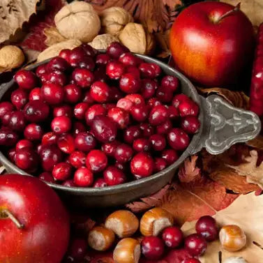 Spiced Cranberry Apple Fragrance Oil Fizzle Me That