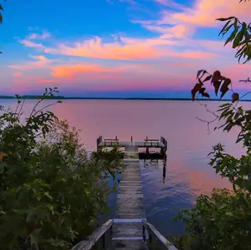 Passion Paradise Fragrance Oil Fizzle Me That