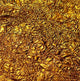 Gold Type Fragrance Oil Fizzle Me That