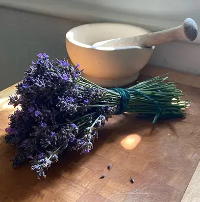 Lavender and Vanilla Fragrance Oil Fizzle Me That