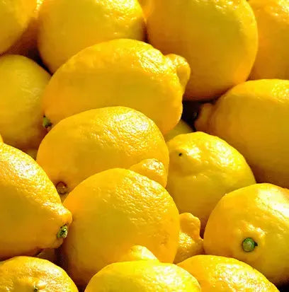 Lemon Fragrance Oil Fizzle Me That