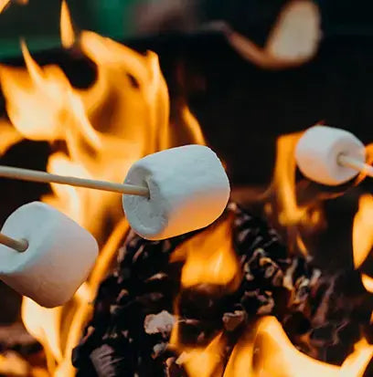 Marshmallow Fireside by BBW Type Fragrance Oil Fizzle Me That