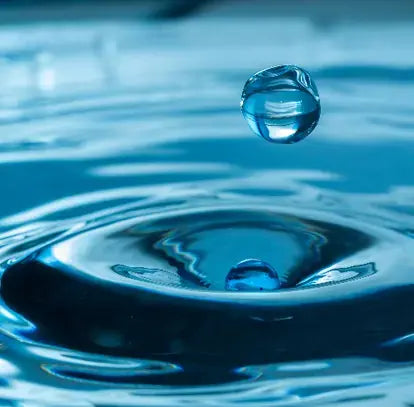 Cool Water (M) Type Fragrance Oil Fizzle Me That