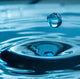 Cool Water (M) Type Fragrance Oil Fizzle Me That