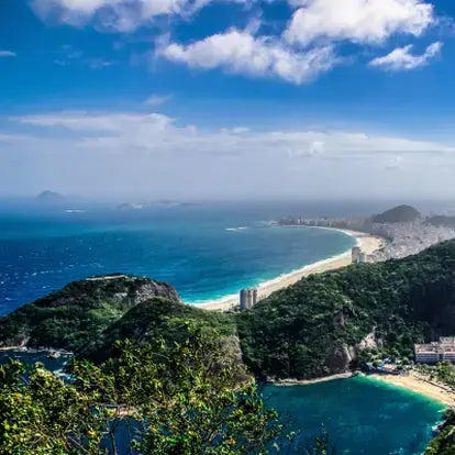 When In Rio by  Sol de Janeiro Type Fragrance Oil Fizzle Me That