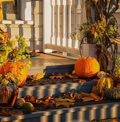 Welcome Home Type Fragrance Oil Fizzle Me That