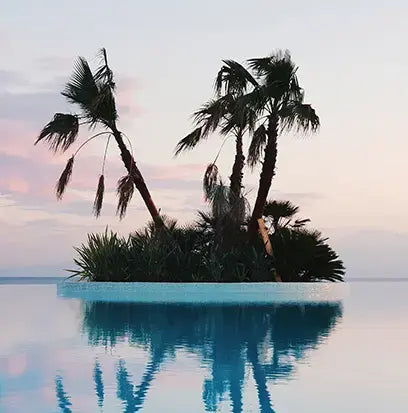 Resort Fragrance Oil Fizzle Me That