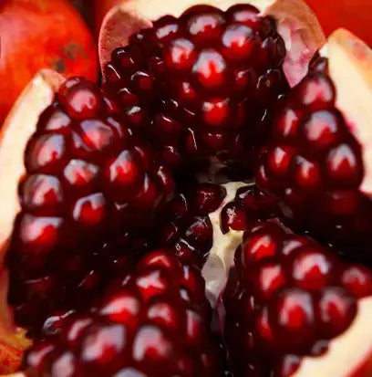 Pomegranate Fragrance Oil Fizzle Me That