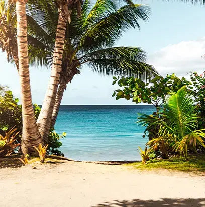 Pismo Beach Fragrance Oil Fizzle Me That