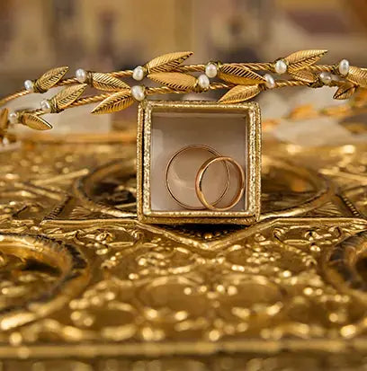 Mecca Gold Fragrance Oil Fizzle Me That