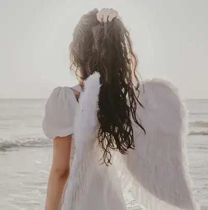 Angel (W) Type Fragrance Oil Fizzle Me That