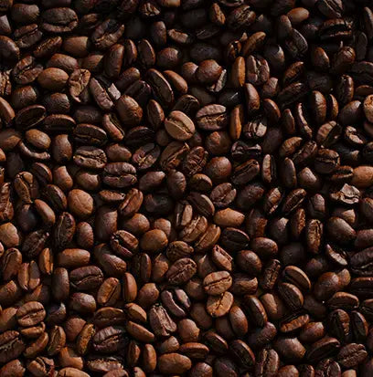 Coffee Bean Fragrance Oil Fizzle Me That